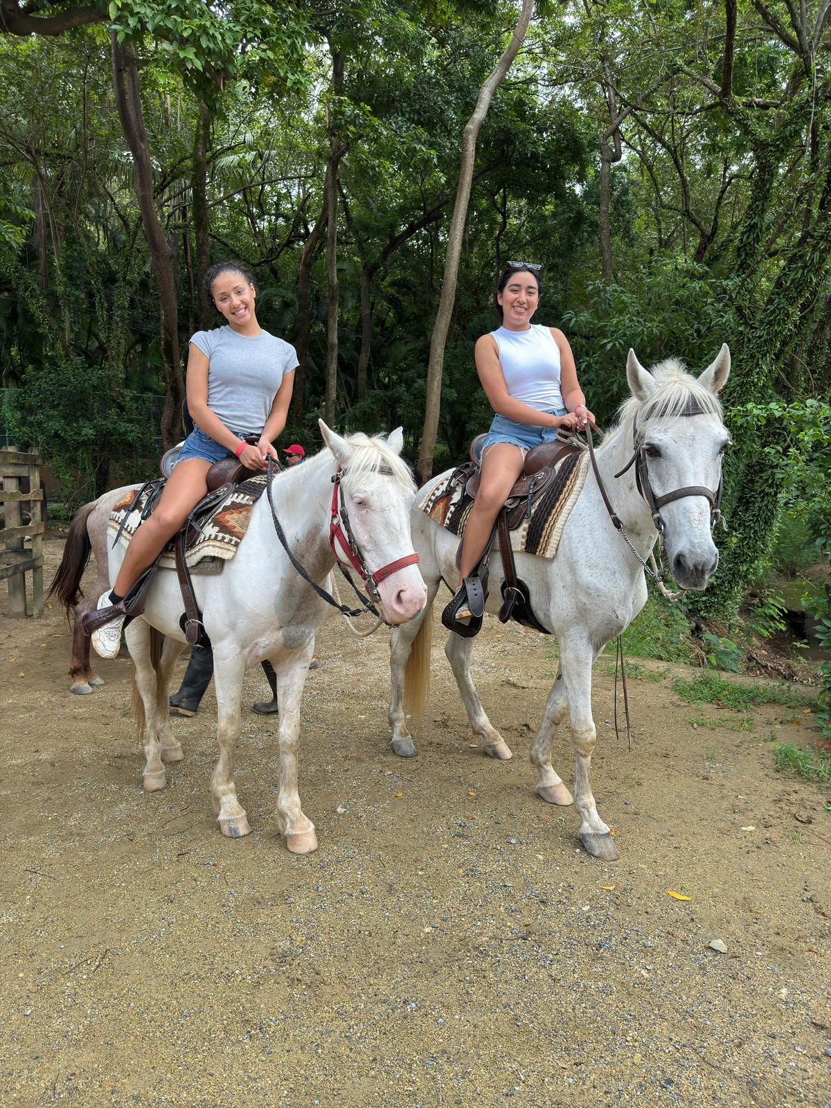 City and Horseback Riding Tour
                
